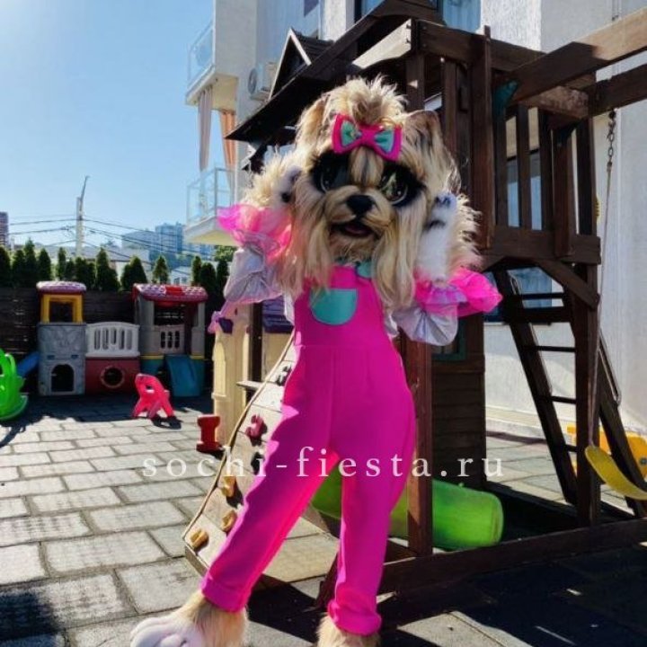 Аниматор Гламурная Собака в Чебоксарах