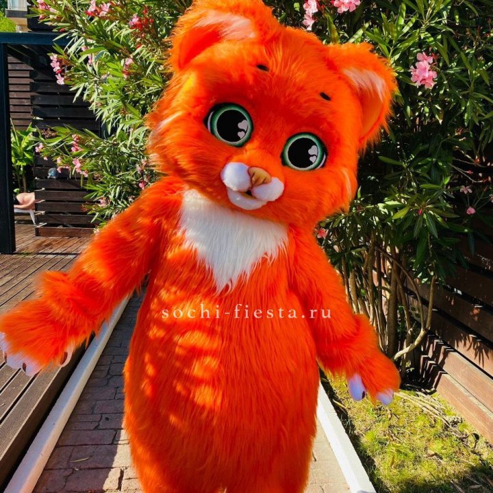 Аниматор Котик в Чебоксарах