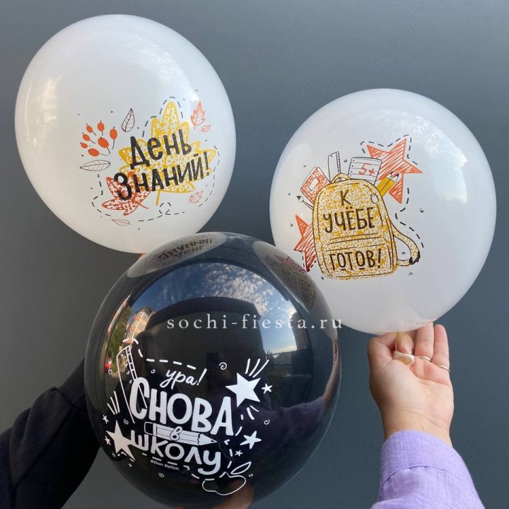 Воздушный шар к 1 сентября в Чебоксарах