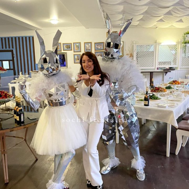 Аниматор Зеркальный заяц в Чебоксарах