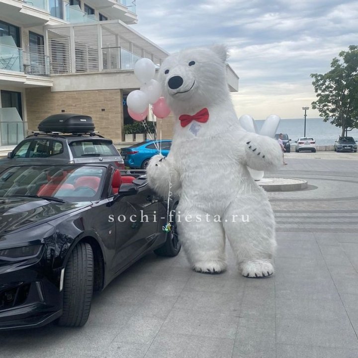 Аниматор Белый Медведь в Чебоксарах