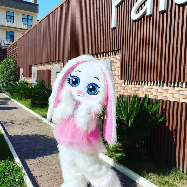 Аниматор Зайка в Чебоксарах