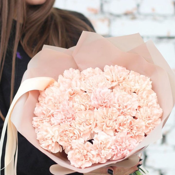 Диантусы №2 в Чебоксарах