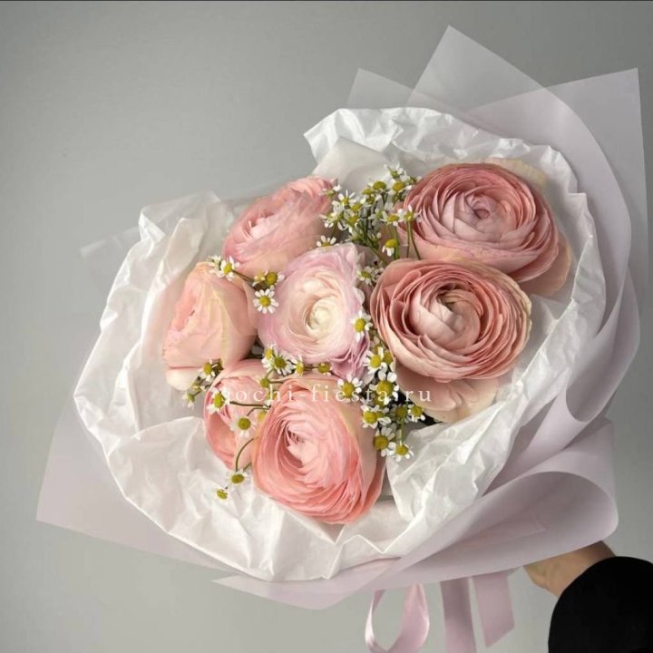 Ранункулюсы с ромашками в Чебоксарах