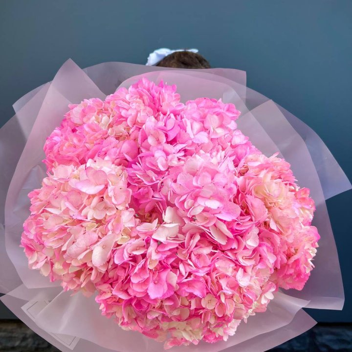 9 ярко розовых гортензий в Чебоксарах