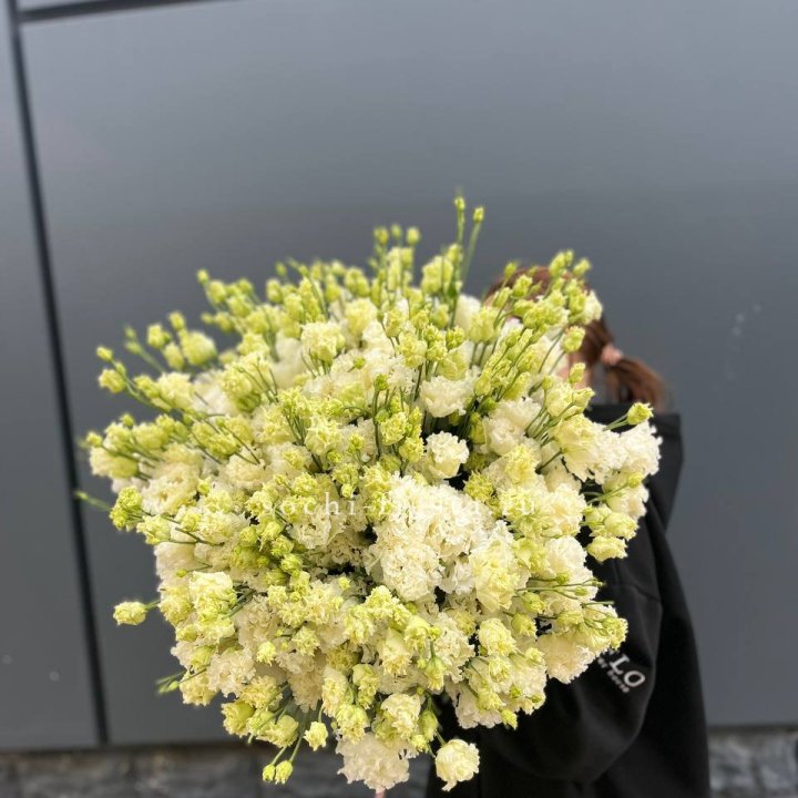 51 белая эустома в Чебоксарах