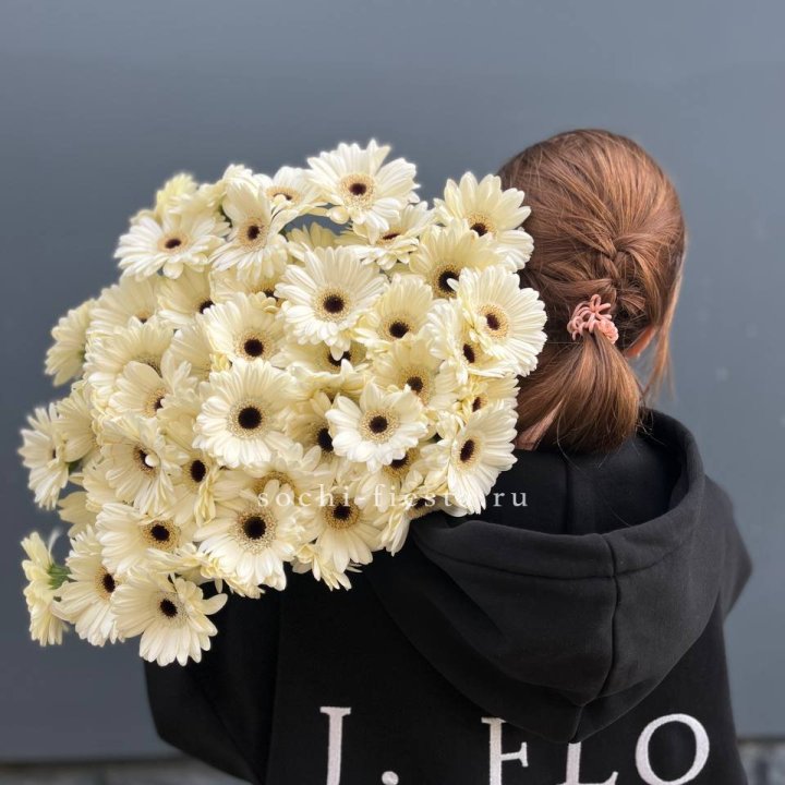 51 гербера в Чебоксарах