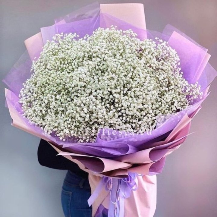 Облако белых гипсофил в Чебоксарах