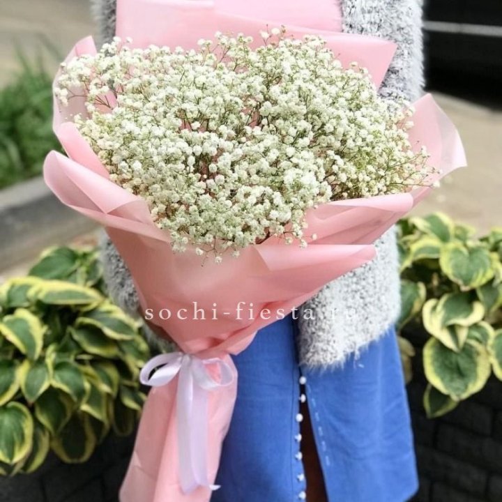 Белоснежные гипсофилы в Чебоксарах