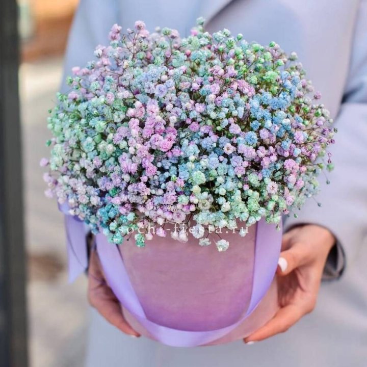 Гипсофилы в шляпной коробке "Кандилайт" в Чебоксарах