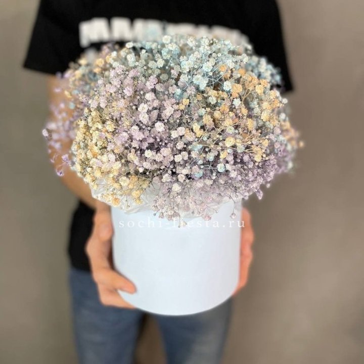 9 Радужных гипсофил в шляпной коробке в Чебоксарах