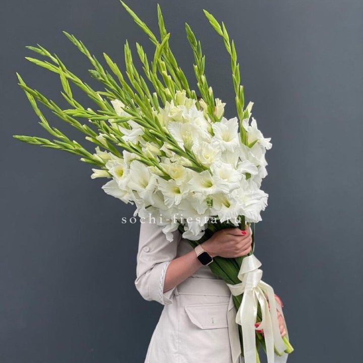 19 белых гладиолусов под ленту в Чебоксарах