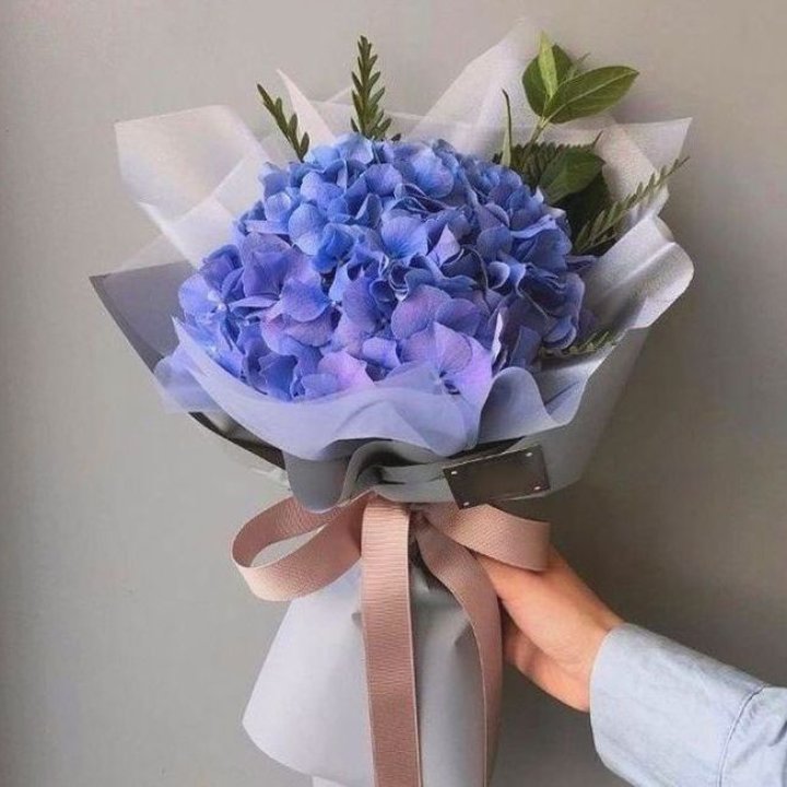 Гортензия голубая в Чебоксарах