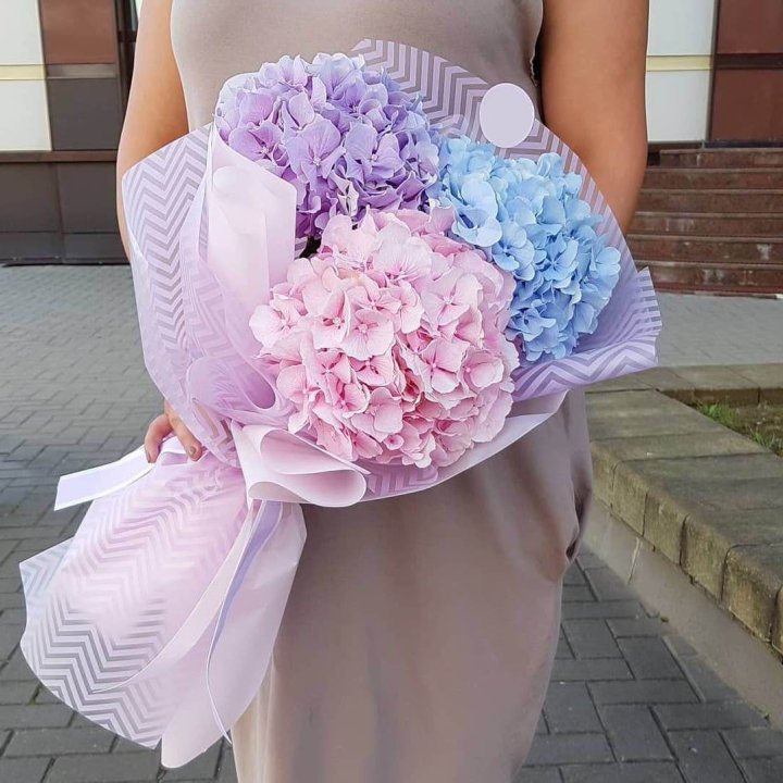 Букет гортензий "Пуф" в Чебоксарах