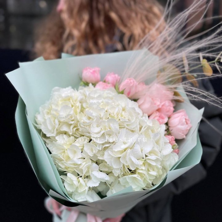 Гортензия "Жасмин" в Чебоксарах