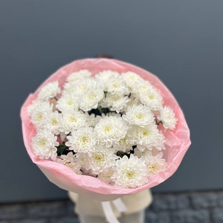  5 хризантем  в Чебоксарах