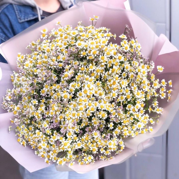Букет ромашек №1 в Чебоксарах