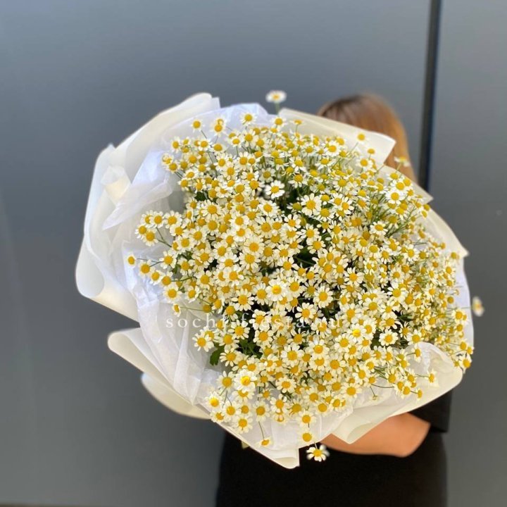 Букет ромашек "Фемели" в Чебоксарах