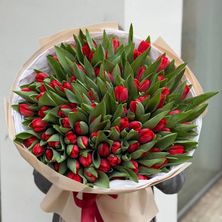 101 красный тюльпан в Чебоксарах