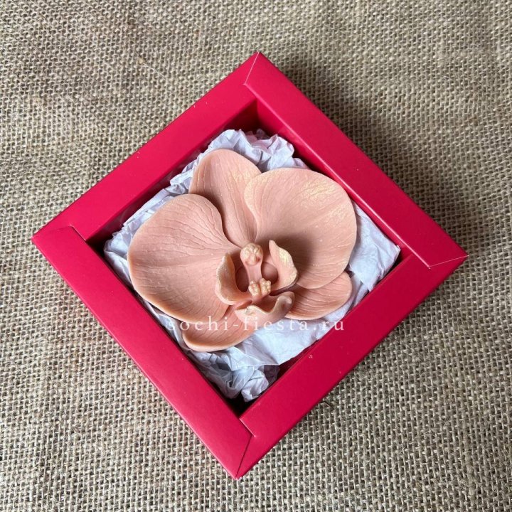 Бельгийский шоколад Орхидея в Чебоксарах