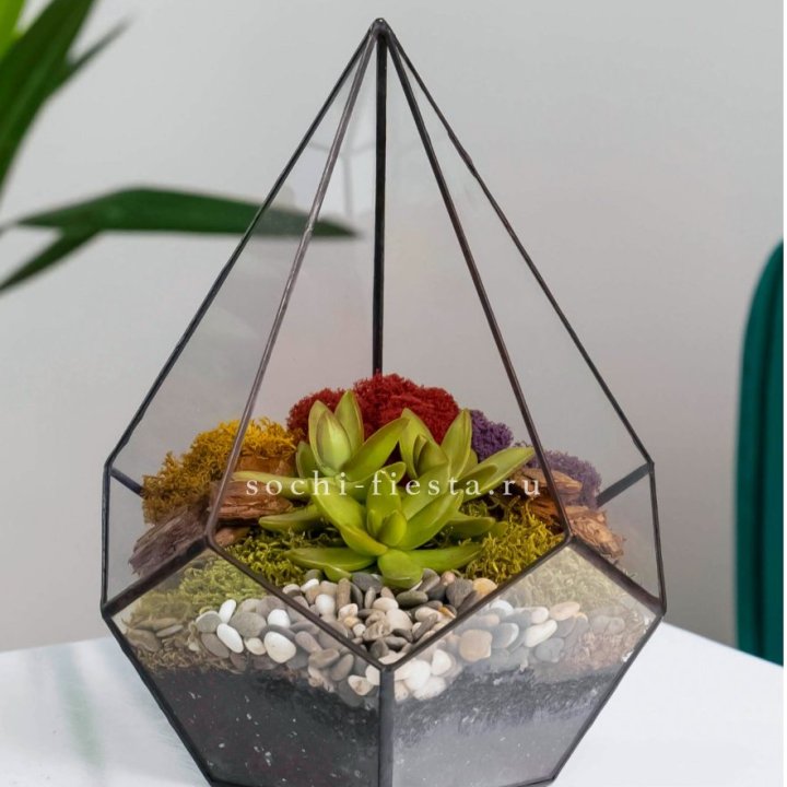 Флорариум Капля с суккулентом в Чебоксарах