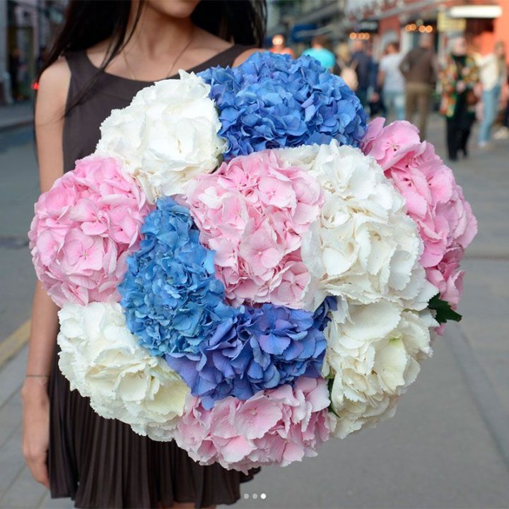 Букет гортензий "Инь-Янь" в Чебоксарах