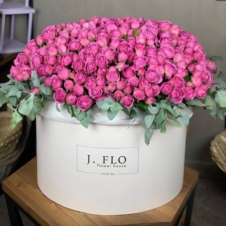 Цилиндр с Мисти Бабблс  в Чебоксарах