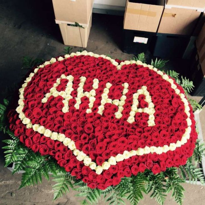 555 роз с именем в Чебоксарах