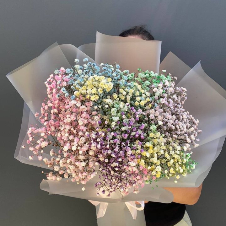 Радужные гипсофилы  в Чебоксарах