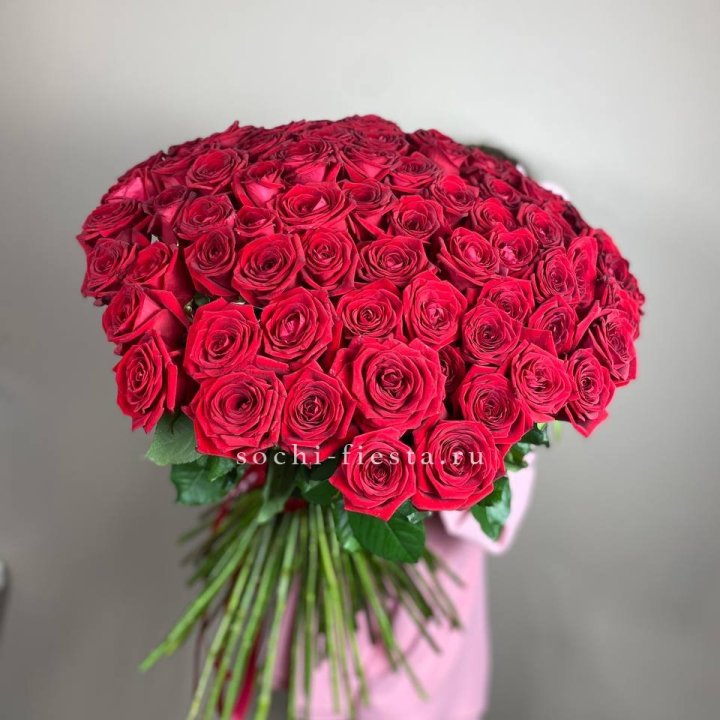101  голландская роза  в Чебоксарах