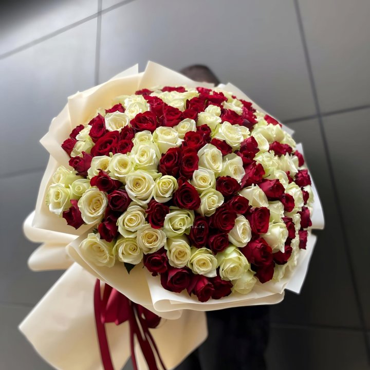 101 высокая импортная роза  в Чебоксарах