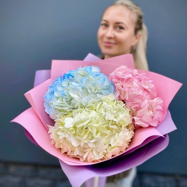 Букет гортензий "Тоника" в Чебоксарах