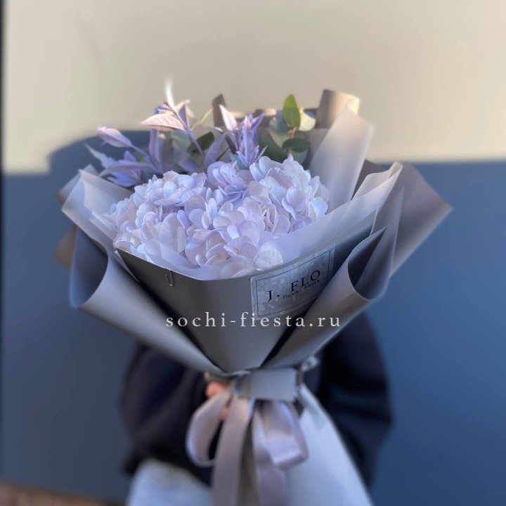 Гортензия "Виолета" в Чебоксарах