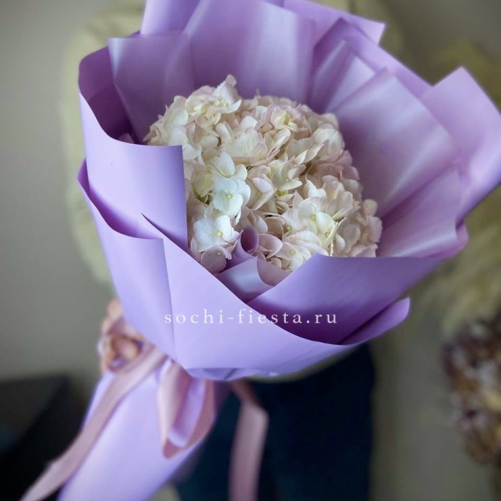 Гортензия розовая в Чебоксарах