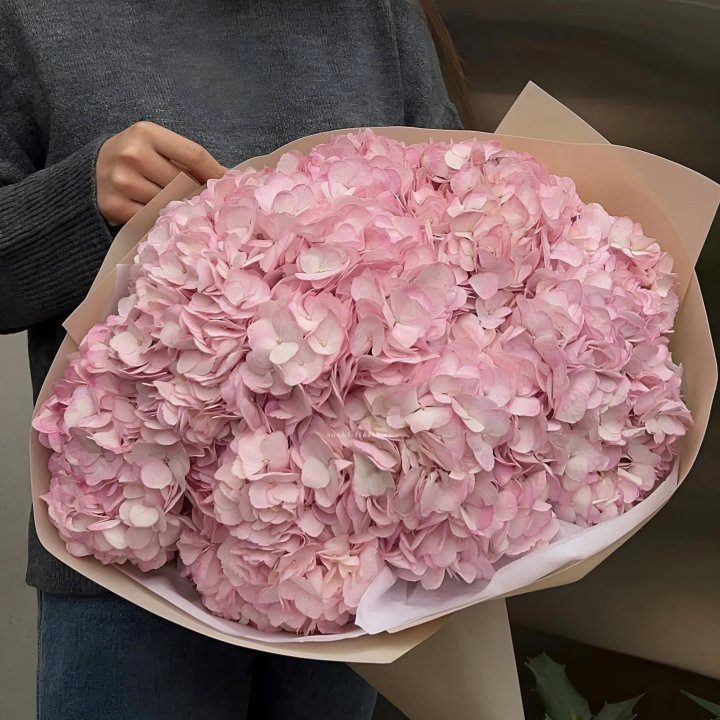 Гортензия  "РОЗЕ" в Чебоксарах