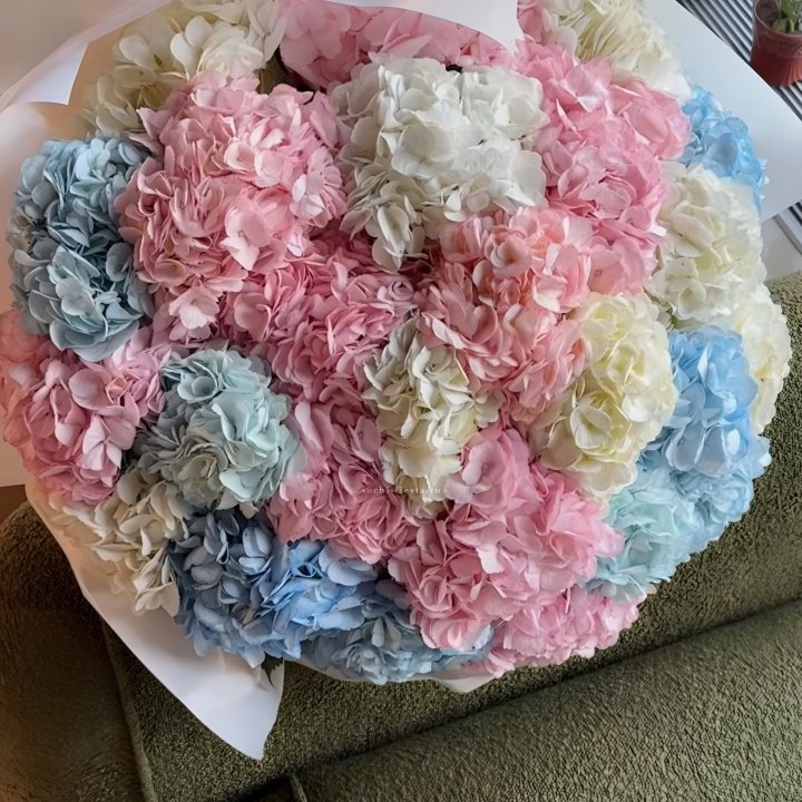 Букет гортензий микс в Чебоксарах