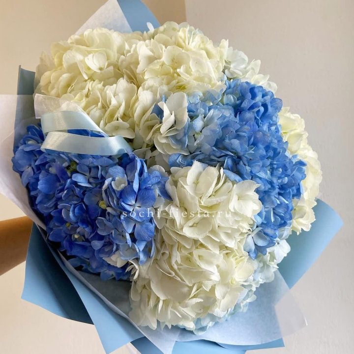 Букет гортензий "Голубая лаза" в Чебоксарах