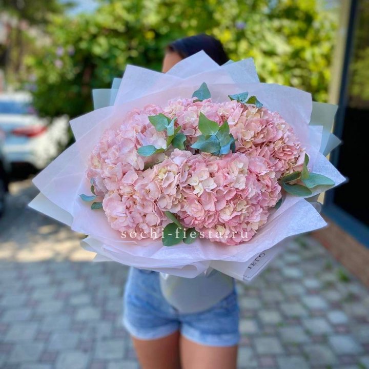 5 розовых гортензий  в Чебоксарах