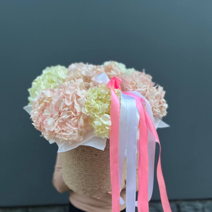 7 гортензий в кашпо в Чебоксарах