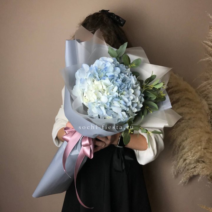 Гортензия Уно в Чебоксарах