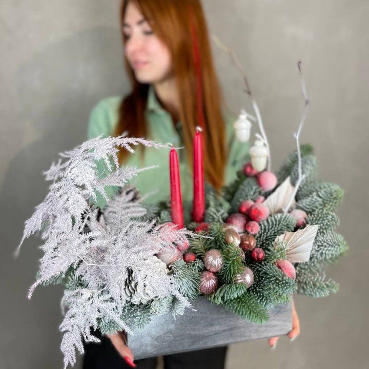 Бокс красный с нобилисом в Чебоксарах