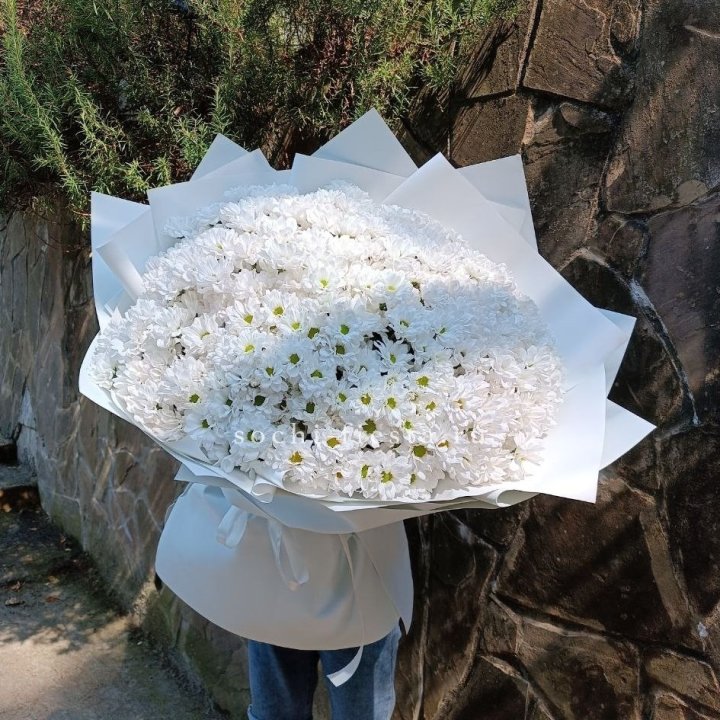 Облако хризантем №2 в Чебоксарах