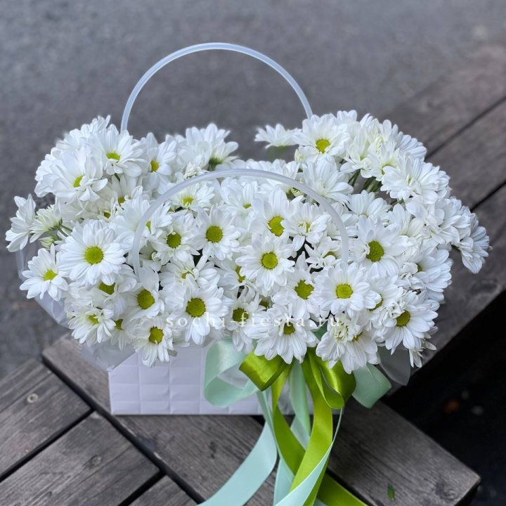 Сумка с хризантемами ромашками в Чебоксарах