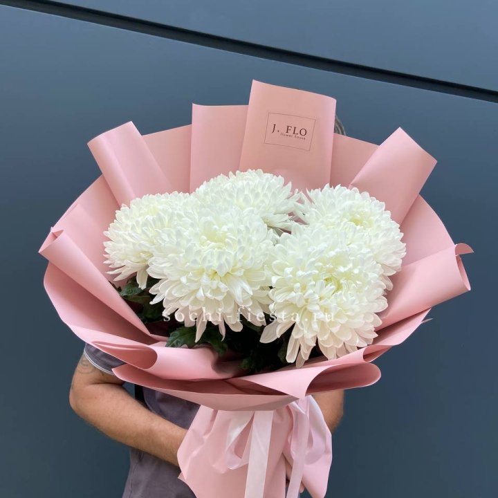 Профитроли №2 в Чебоксарах