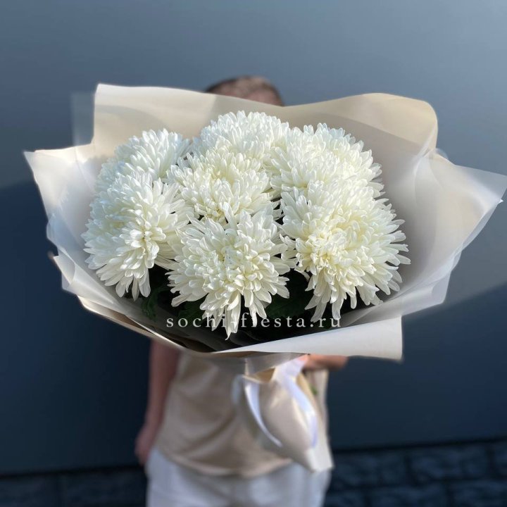 Профитроли в Чебоксарах