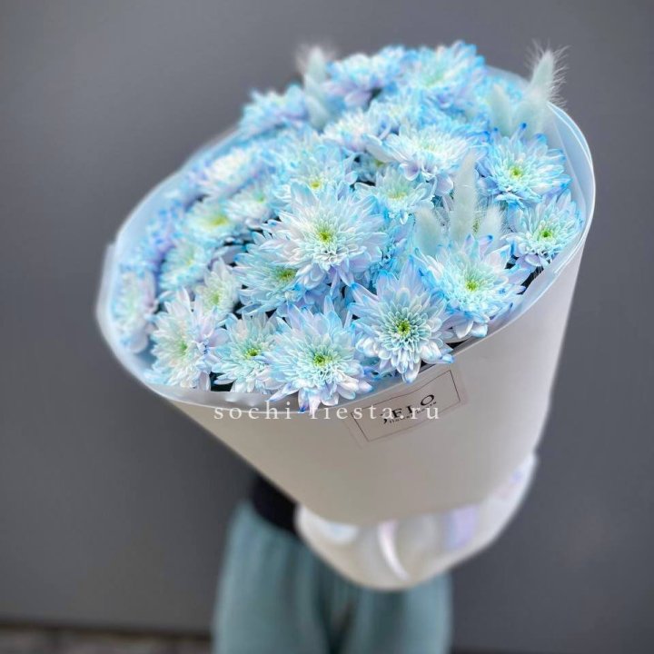  Букет нежно-голубых хризантем  в Чебоксарах