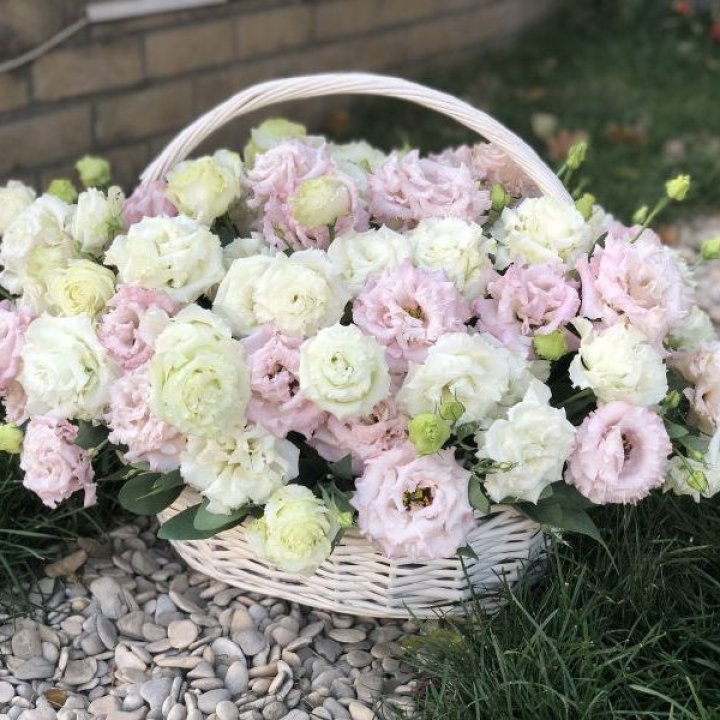 Корзина с эустомой в Чебоксарах