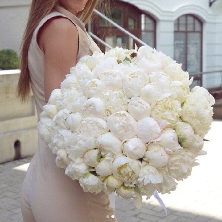 51 белый пион в Чебоксарах