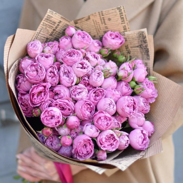 Роза Мисти Баблс в Чебоксарах