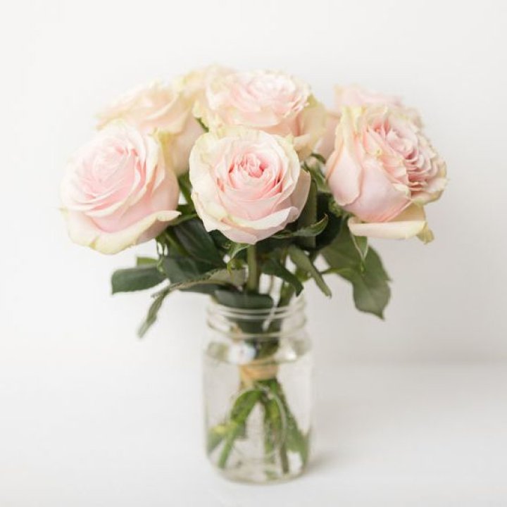 7 кремовых роз в Чебоксарах